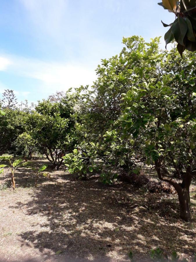 Casa Agrumeto Stromboli Eksteriør bilde